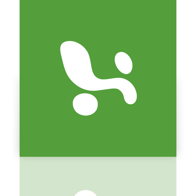 excel,mirror icon