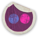 flickr icon