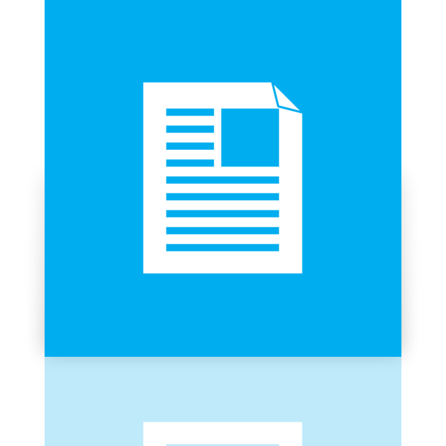document,mirror icon