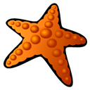 starfish icon