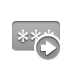 password,right icon