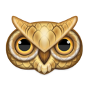 animal, owl icon