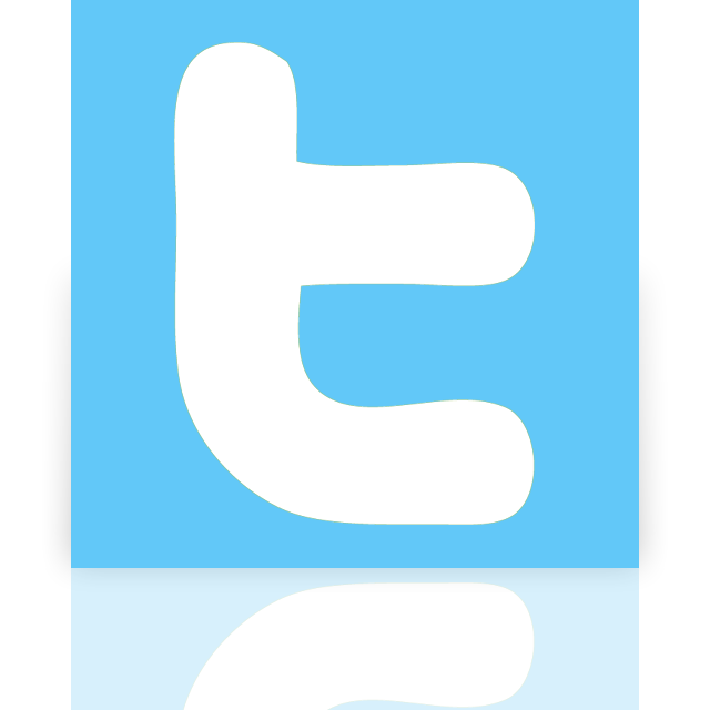 mirror, twitter icon