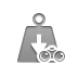 weight,binoculars icon