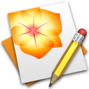 adobe,illustrator icon