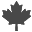 mapleleaf icon