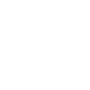 stop,alt,inv icon