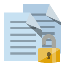 copy,lock,open icon