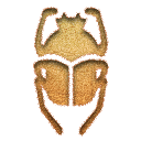 scarab,inserted icon