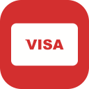 online payment, online transaction, payment method, visa svg vector icon