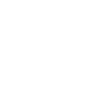 stop,inv icon