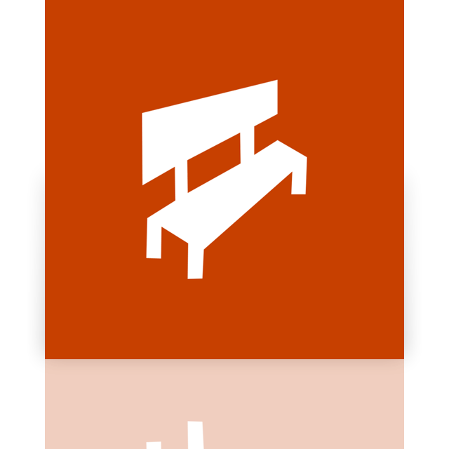 public,network,mirror icon