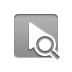 play,zoom icon