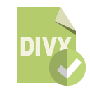 file,format,divx,checkmark icon