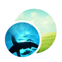 preview icon