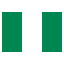 ng icon