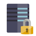 server,lock icon