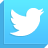 twitter icon