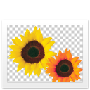 png,file,paper,document icon