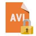 file,format,avi,lock icon