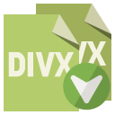 file,format,divx,down icon