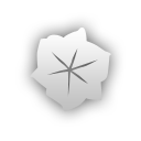 illustrator icon