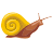 escargot, mail, slow, slowly, snail, speed icon