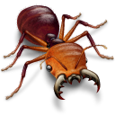 siafu icon