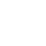 game,inv icon