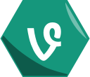 hexagon, media, networking, social, video, vine, vines svg vector icon