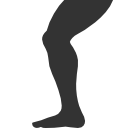 leg icon