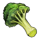 broccoli,fruit,vegetable icon