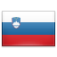 slovenia icon