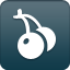 coroflot icon