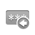 password,left icon