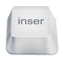inser icon
