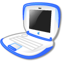 blueberry icon