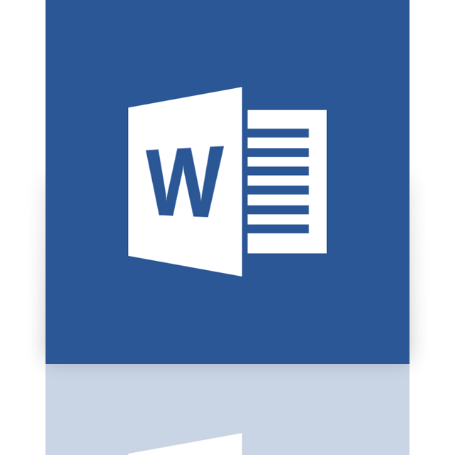 word,mirror icon