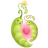 peasheart icon
