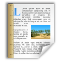 office,document,template,file,paper icon
