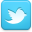 twitter icon