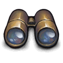 golden,binoculars icon