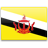 brunei,flag,country icon