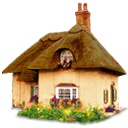 png icon