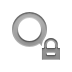 zoom,lock icon