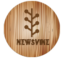 newsvine icon
