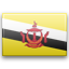 brunei icon