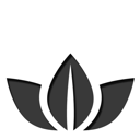31 icon