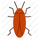 bug, cockroach, insect, pest icon