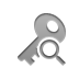 key,zoom icon